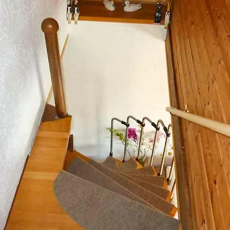 Am Saaler Bodden Langendamm