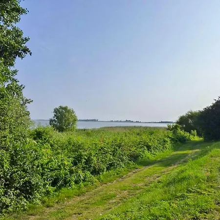 Am Saaler Bodden * Langendamm